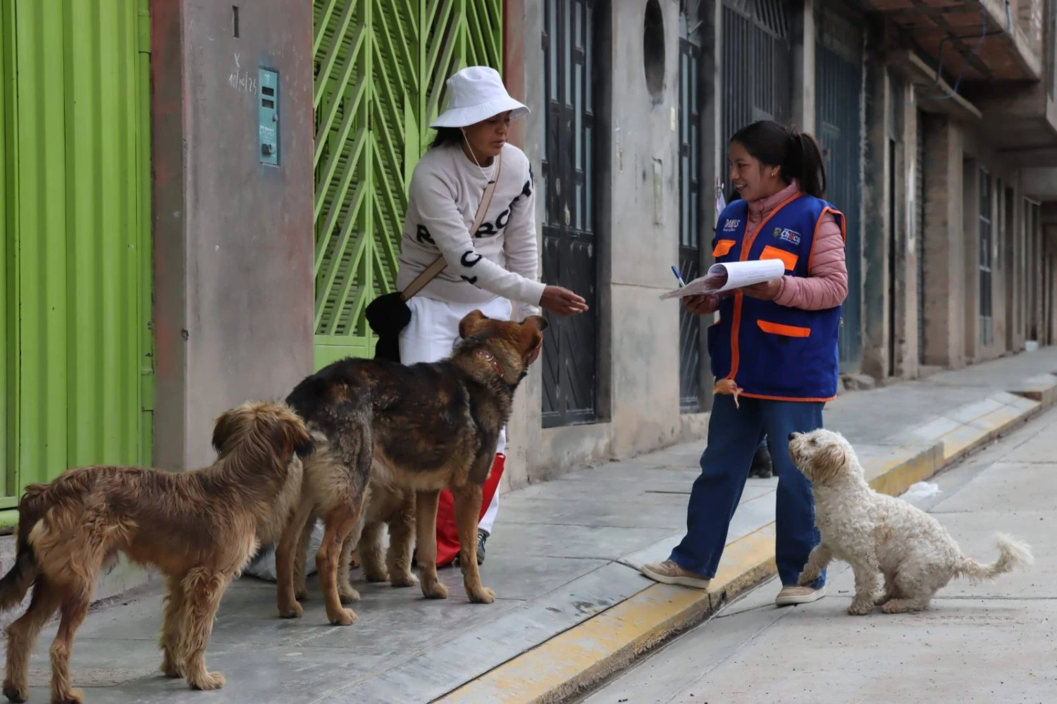 Empadronan más de 150 perros en Auquimarca y Auray