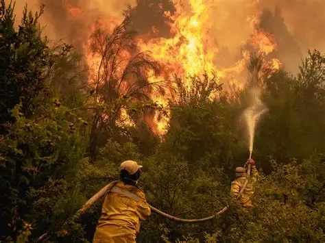 Perú registra cero incendios forestales activos tras semanas