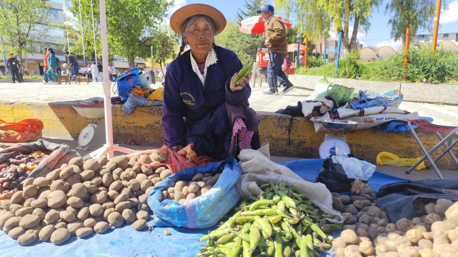 Productores de Huancavelica conquistan Chilca con alimentos frescos y comida tradicional