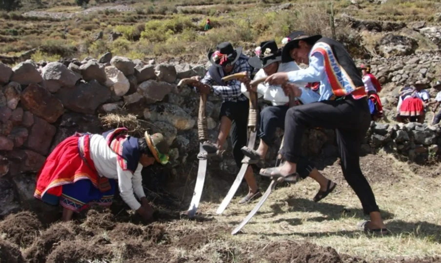 Productores agrarios cuentan con Seguro Agrícola Catastrófico: cubre S/1,000 por hectárea