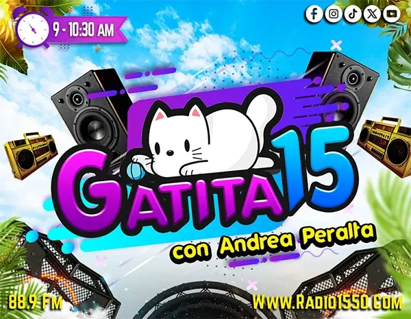 Gatita 15 en Verano