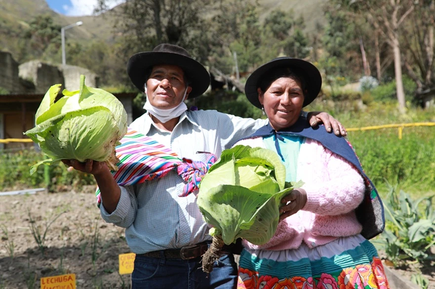 Más de 469 mil hogares rurales elevan ingresos