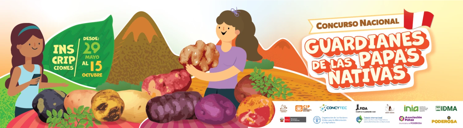 Concurso nacional busca proteger las papas nativas del Perú