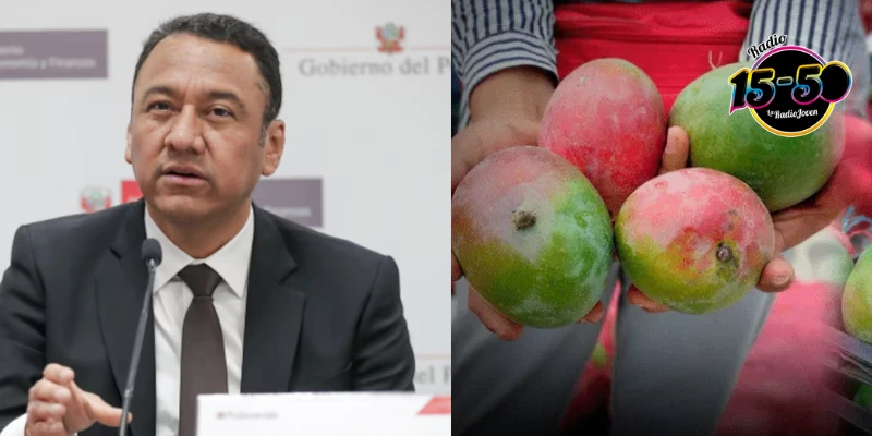 Crisis del mango en Perú: Agricultores regalan o entierran toneladas de fruta