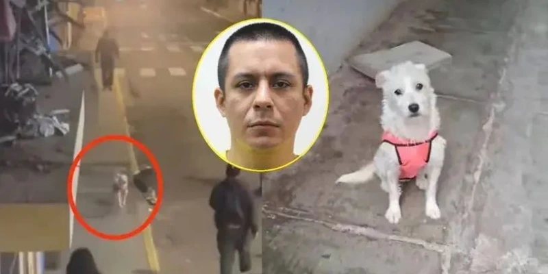Acusan a sujeto por matar a perrita y más delitos