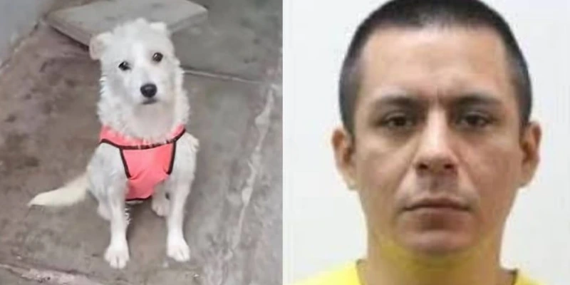 Asesinó a perrita por defender a su dueña en Trujillo