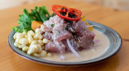 Ceviche peruano: del mar a la selva, pura pasión