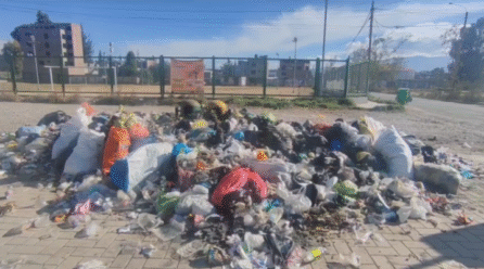 Cuna Más Pilcomayo infestada de moscas por basura