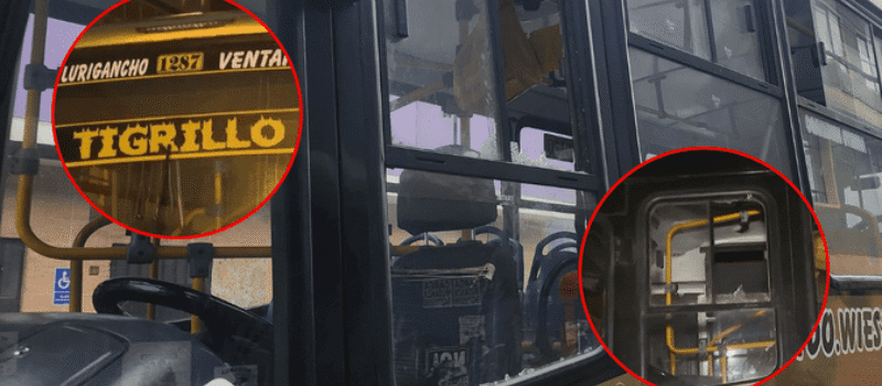 Sicarios matan cobrador de bus Tigrillo en SMP