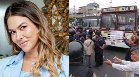 Anahí de Cárdenas respalda paro de transportistas